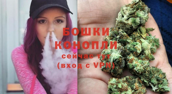 стафф Кулебаки