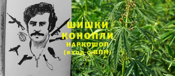 стаф Куйбышев