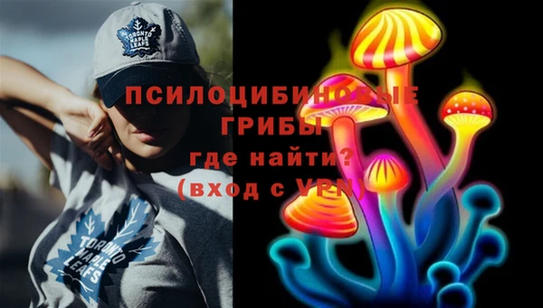 стафф Кулебаки